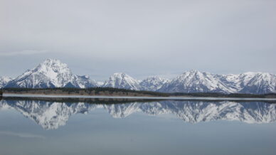 Dihotomie sau trihotomie?