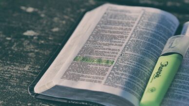 Delectându-ne în Cuvântul lui Dumnezeu ca remediu pentru afecțiunile nesănătoase